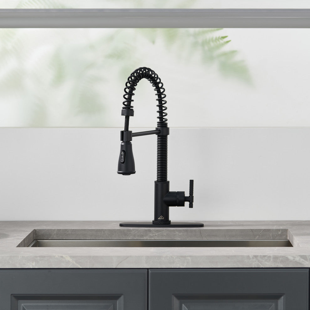 Single Handle Kitchen Faucet Pull-Down Sprayer, 360 Swivel, Three Functions, Matte Black