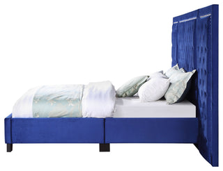 ACME Damazy Queen Bed in Blue Velvet