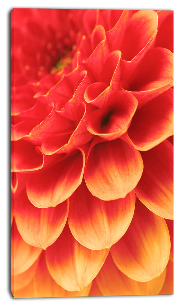 Abstract Orange Flower and Petals, Floral Canvas Art Print, 16"x32"