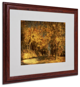 'Back Roads' Matted Framed Canvas Art by Lois Bryan