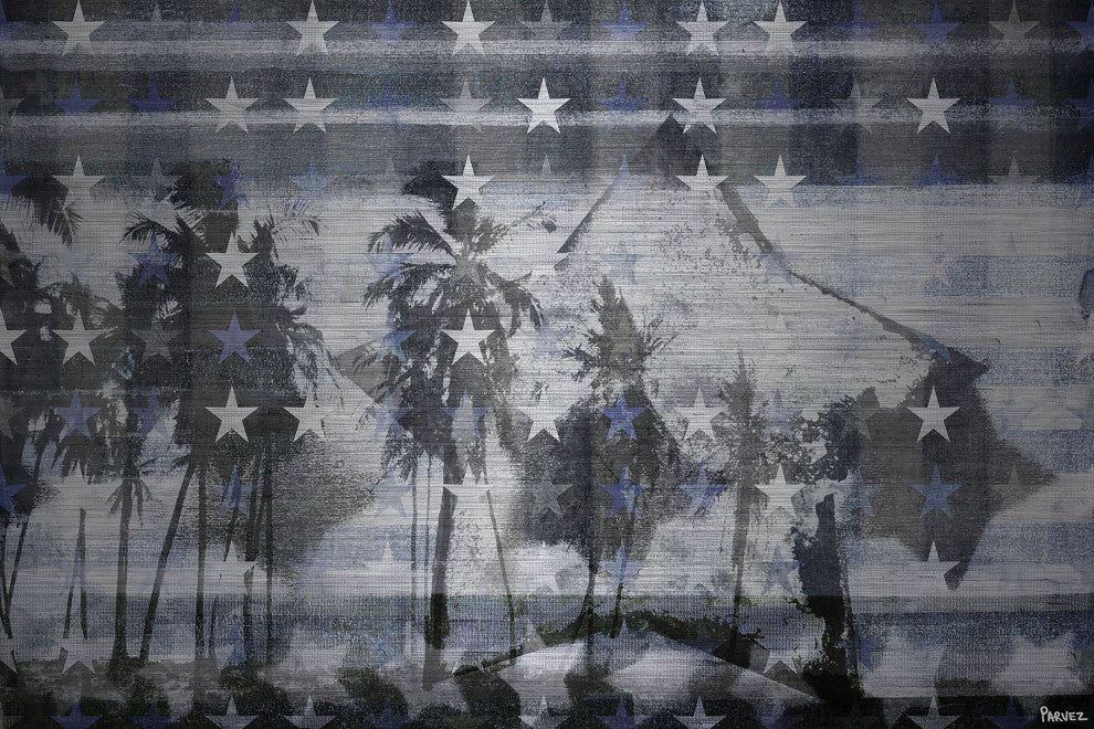 "Many White Stars" Print on Brushed Aluminum, 60"x40"