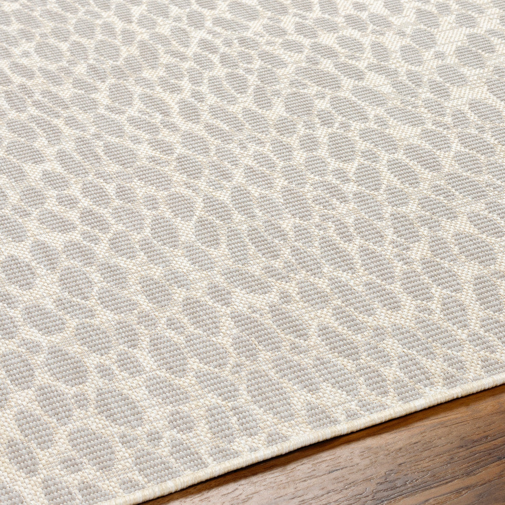 Surya Ravello RVL-2357 Indoor/Outdoor Area Rug
