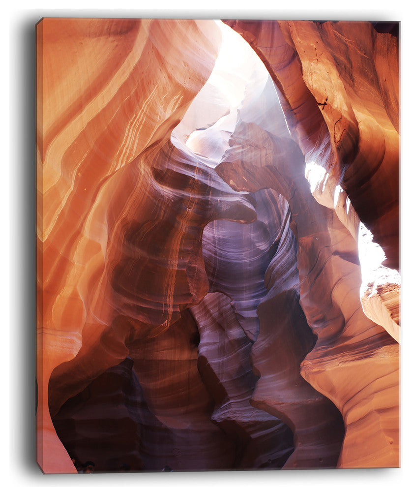 "Canyon Antelope With Purple Sunlight" Modern Landscape Wall Art Canvas, 12"x20"