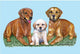 Golden Retriever Door Mat 18x26