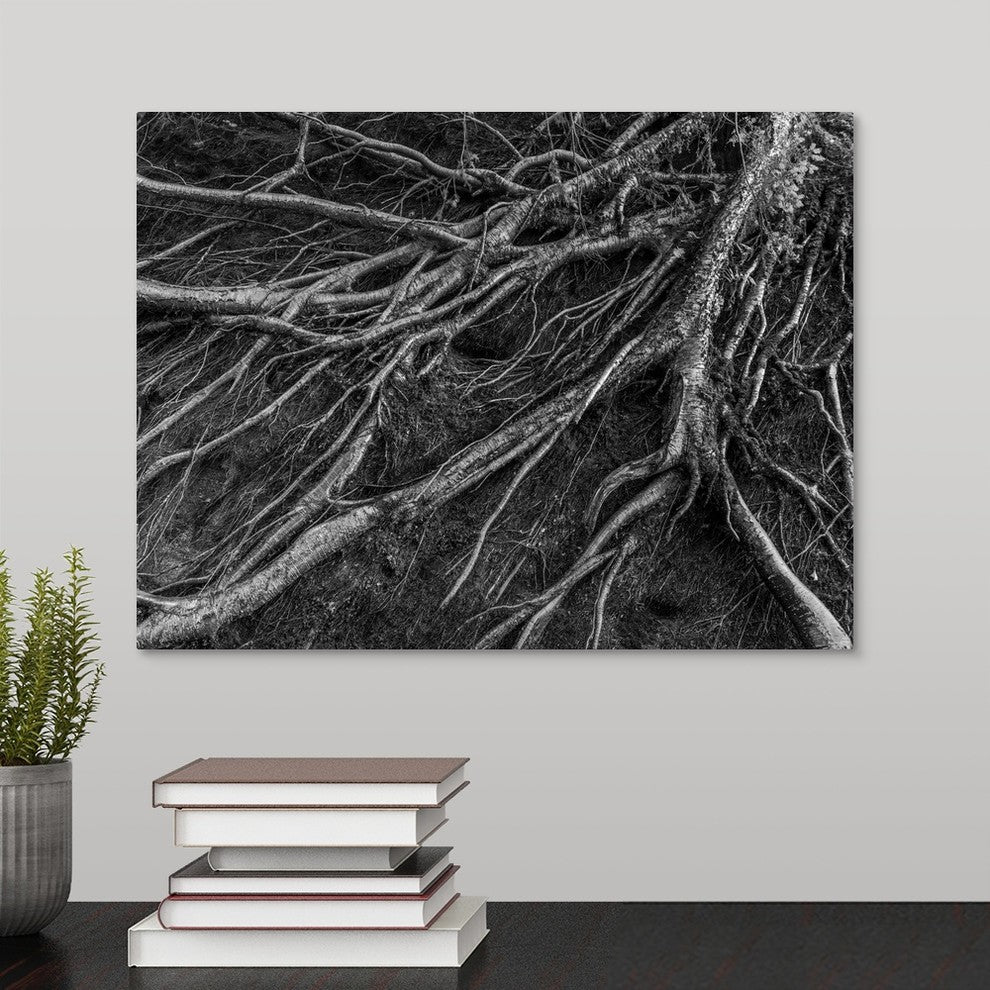 "Roots" Wrapped Canvas Art Print, 16"x12"x1.5"