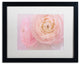 Cora Niele ''Soft Pink Flower Bouquet'' Matted Framed Art