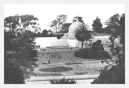 Conservatory, San Francisco, CA - Gallery Wrapped Canvas Art 28" x 42"