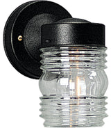 Progress Lighting 1-Light Wall Lantern With Clear Glass, Black