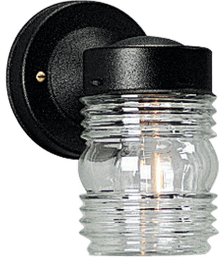 Progress Lighting 1-Light Wall Lantern With Clear Glass, Black