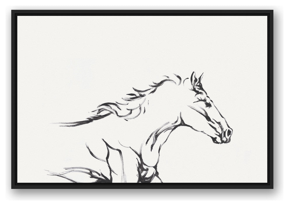 Racing Horse Sketch 24x36 Black Floating Framed Canvas