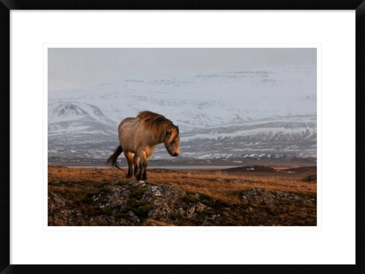 "A Gleam From The Sun" Framed Digital Print by Brin Ingibergsson-Bragi, 30x22"