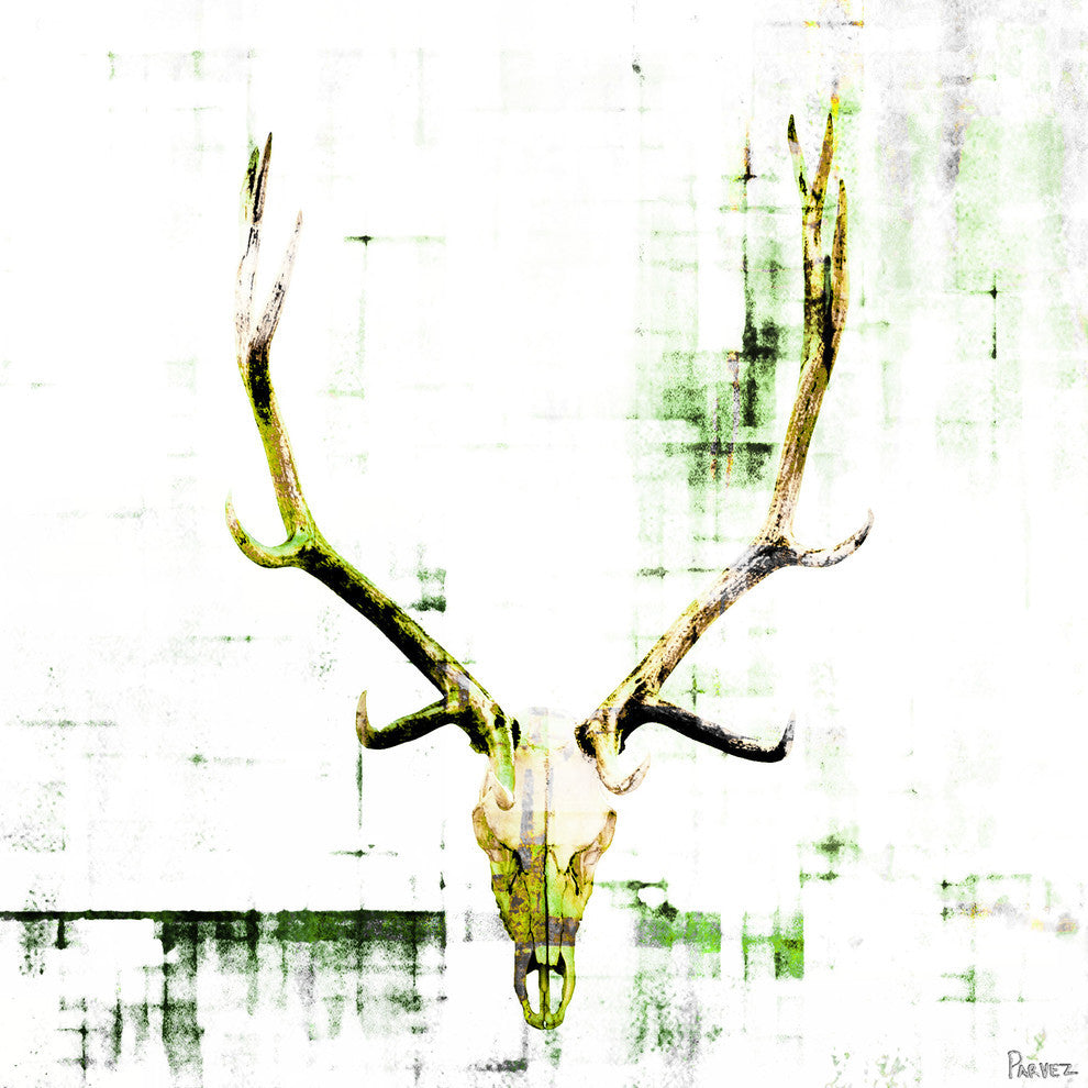 "Antler" Fine Art Canvas Print, 24"x24"