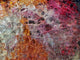 Red and Orange Portal