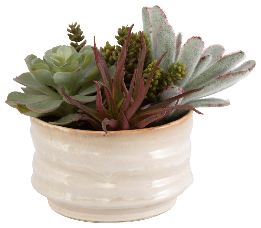 Mesa Succulent Accent