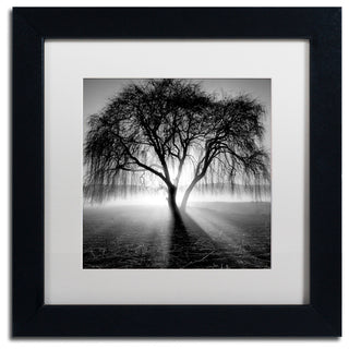"Lightning Tree I" Matted Framed Canvas Art by Moises Levy
