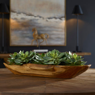 Uttermost Yuma Succulent Centerpieces