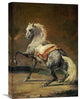 "Dappled Grey Horse" Artwork, 15" x 22"
