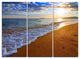 "Sydney Early Morning Beach" Beach Metal Wall Art, 3 Panels, 36"x28"