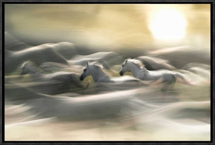 "Morning Dream" Framed Canvas Giclee by Milan Malovrh, 23x15"