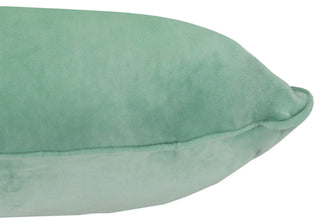 A1HC Throw Pillow Insert, Down Alternative Fill, Set of 2, Como Green, 12"x20"