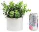 Admired By Nature Artificial Eucalyptus Plant With Ceramic Pot
