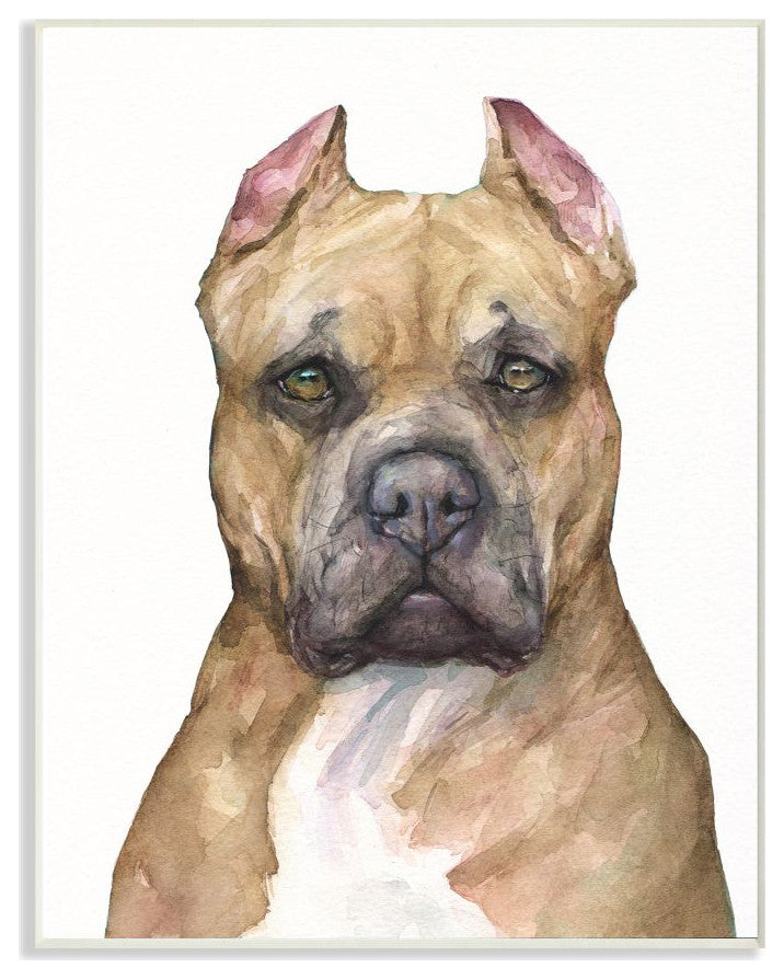 Pit Bull Dog Pet Animal Watercolor Painting, 10"x15"