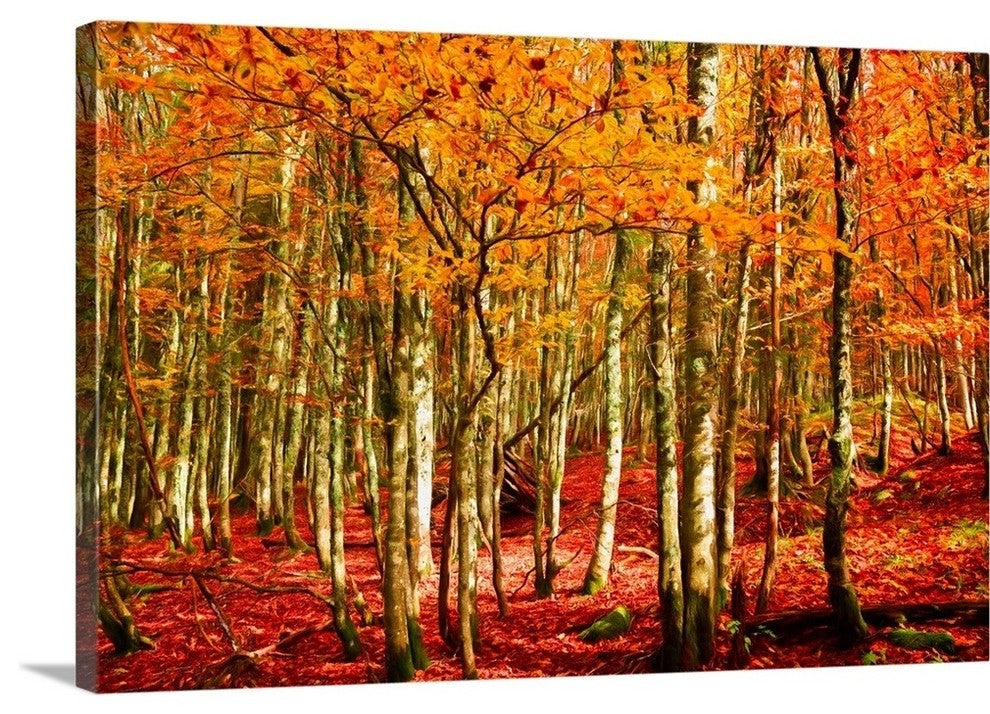 "Highs and Lows" Wrapped Canvas Art Print, 36"x24"x1.5"
