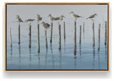 "Noonday Escapade" - A Moment of Seaside Serenity