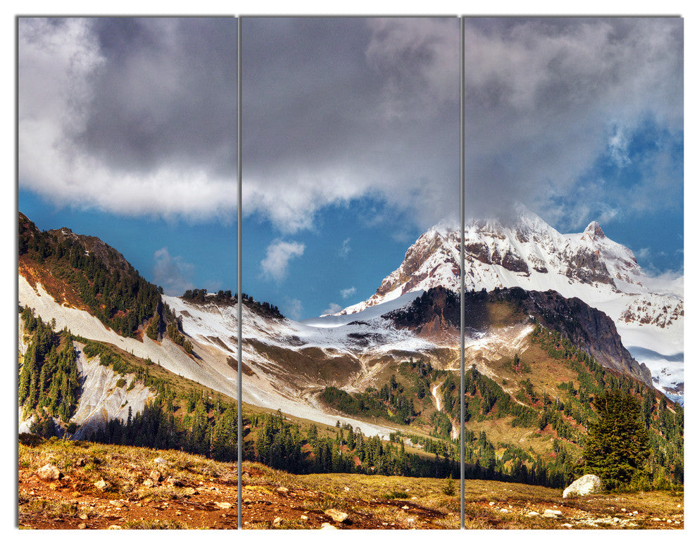 Whistler Mountain British Columbia, Triptych Canvas Art Print, 36x28, 3 Panels