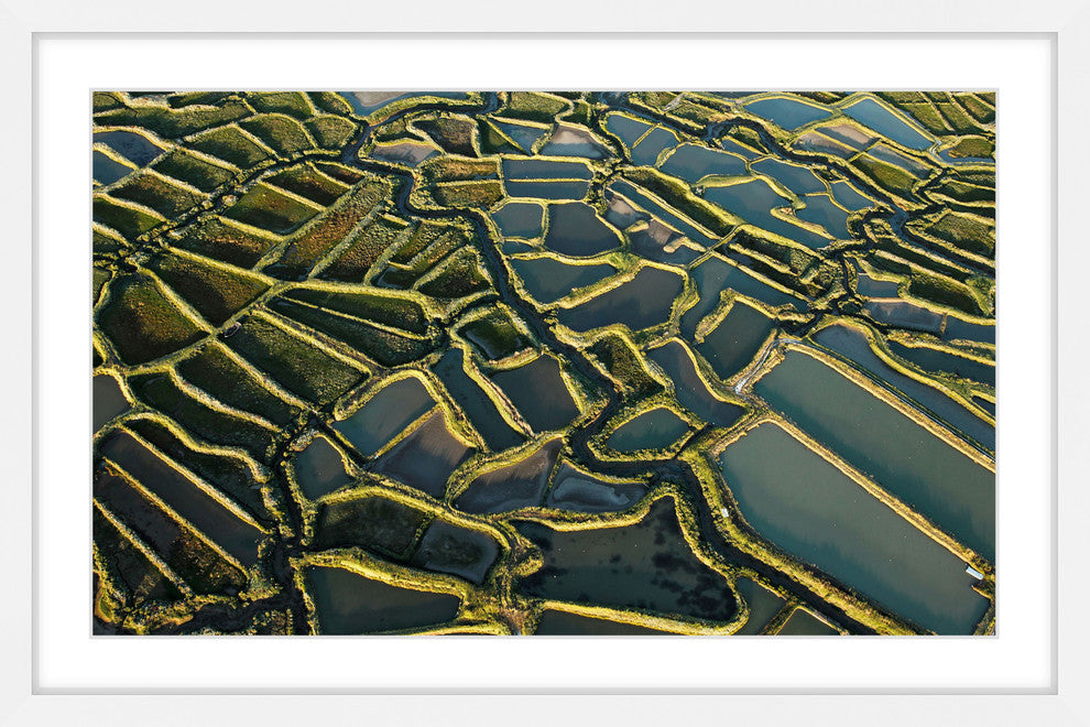 "Waterways" Framed Painting Print