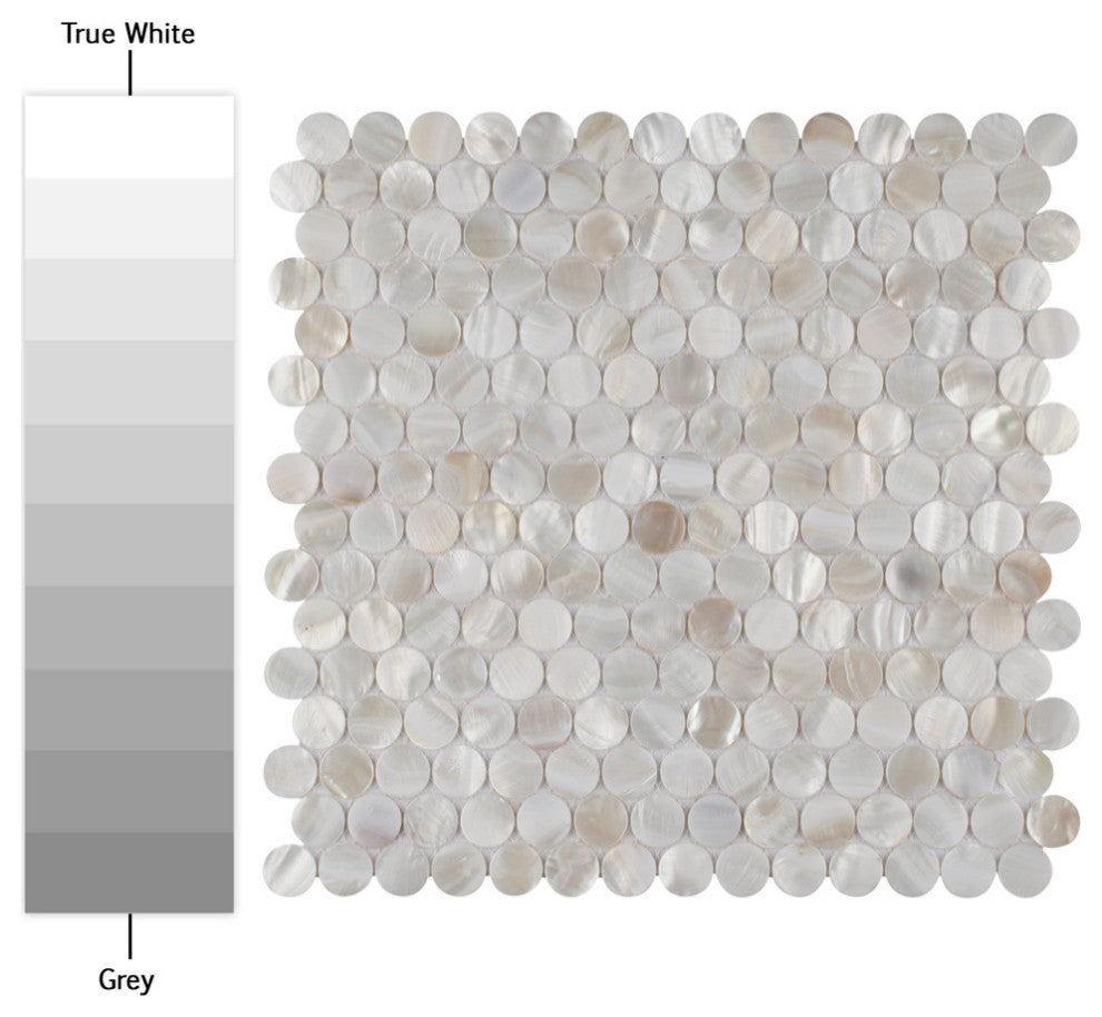 Conchella Mini Penny White Natural Shell Wall Tile