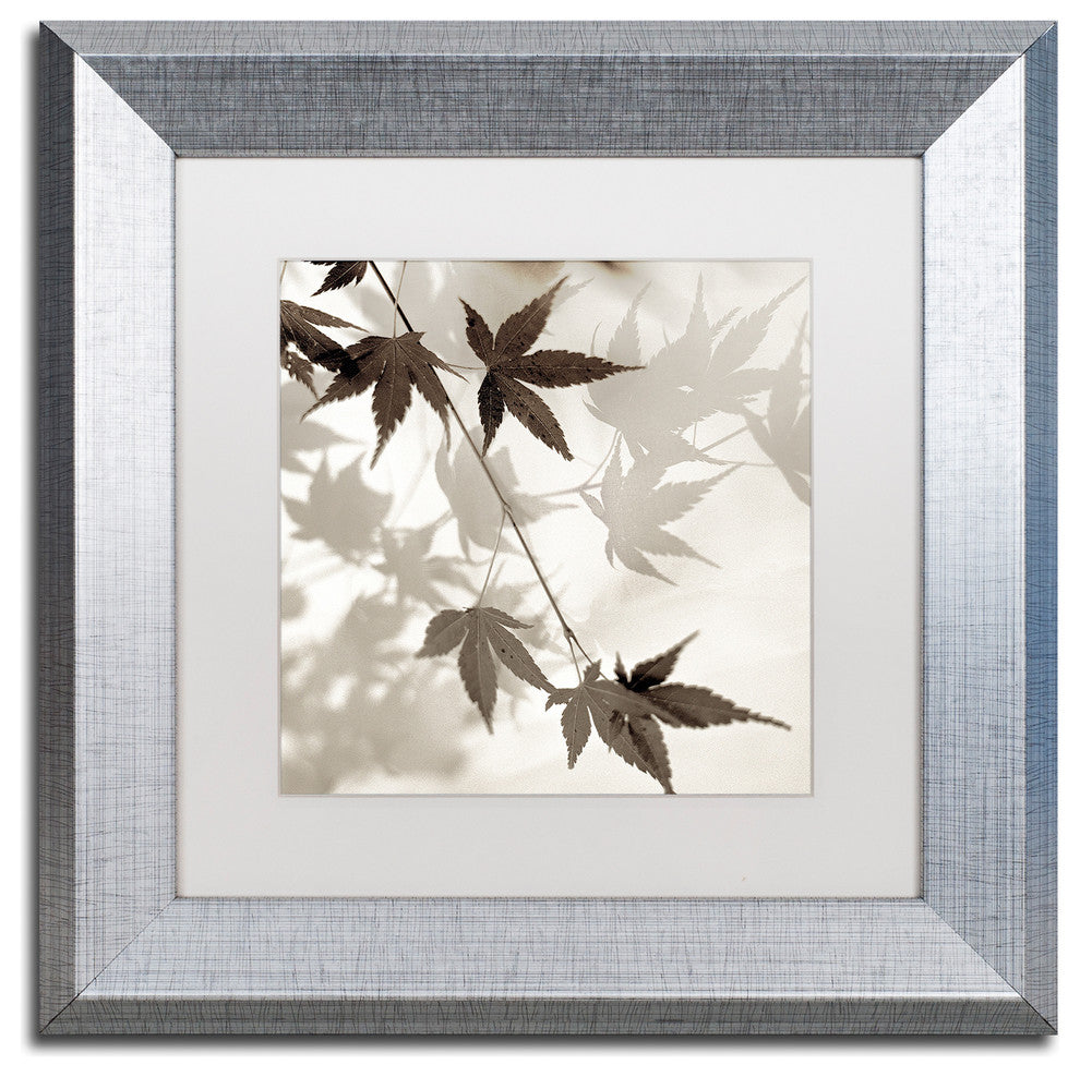 Alan Blaustein 'Florison 63' Art, Silver Frame, White Mat, 11x11