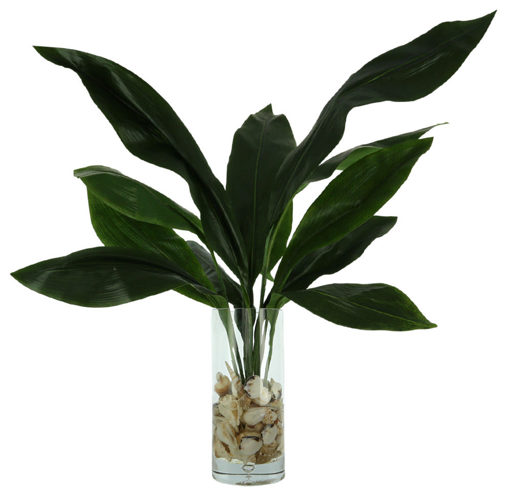 Aspidistra Leaf Arrangement in a Bubble Glass Vase with Shells