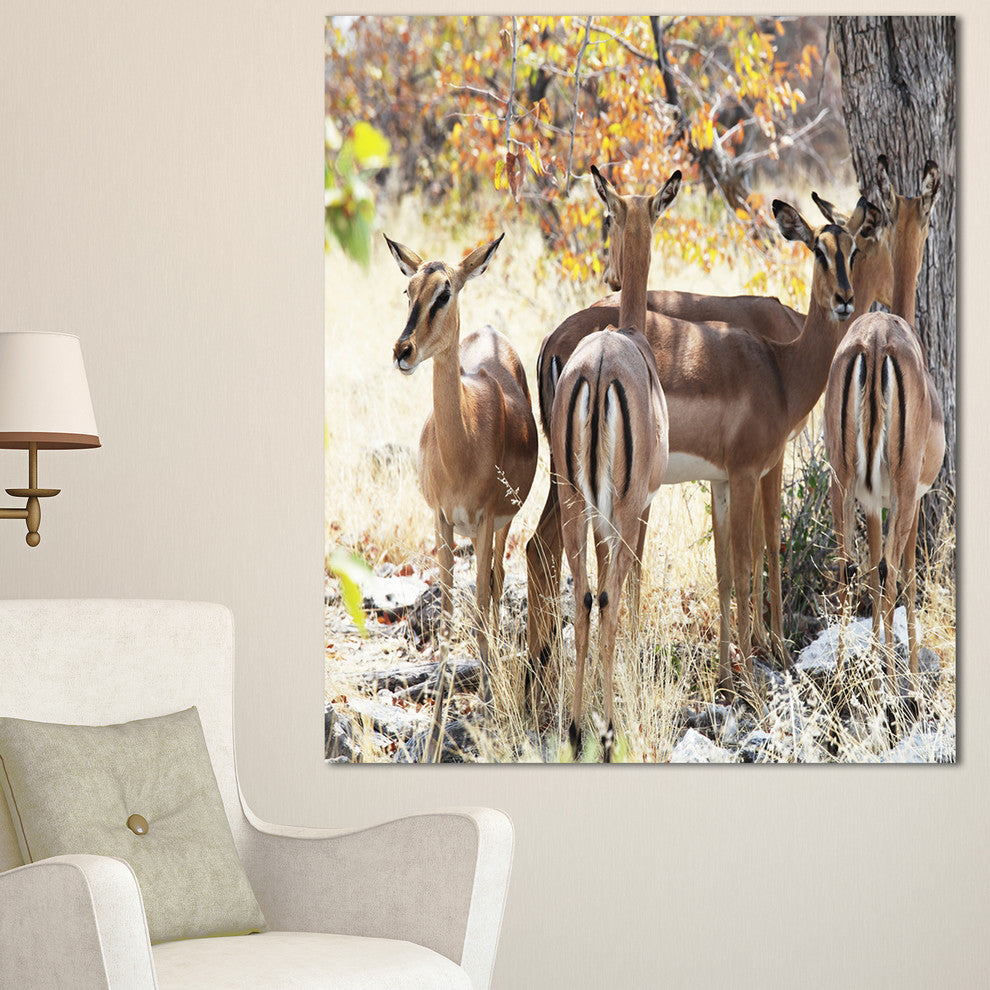 Beautiful Herd of Antelope Gnu, Extra Large African Canvas Art Print, 30"x40"