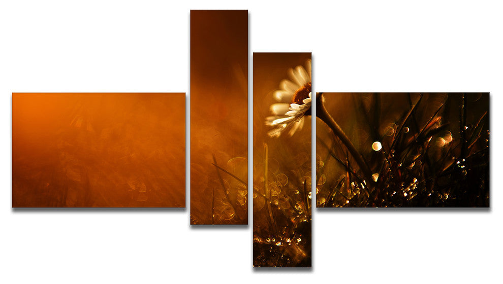 White Wild Flower at Sunset After Rain, Floral Canvas Print, 60"x32", 4 panels