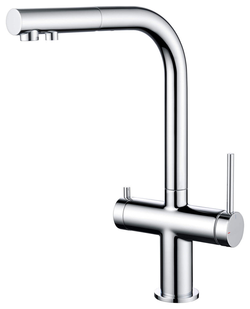 Circular 2-in-1 Water Filter Kitchen Pull Out Faucet, Chrome