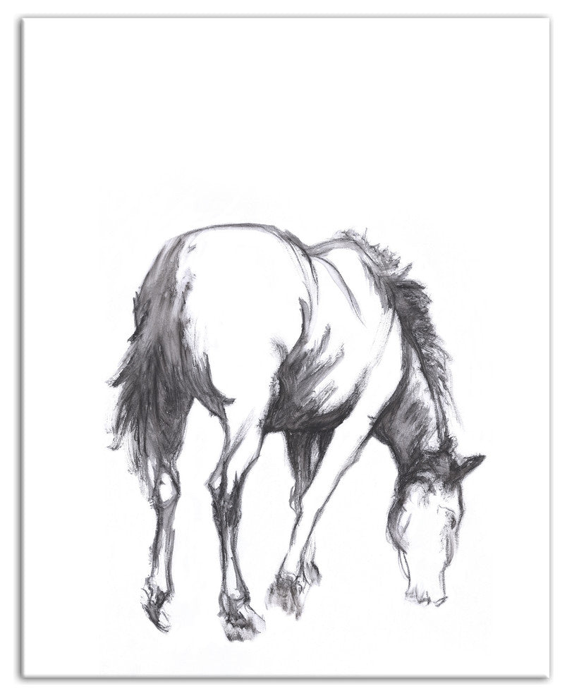 "Grazing Horse Sketch" Canvas Wall Art, 16"x20"
