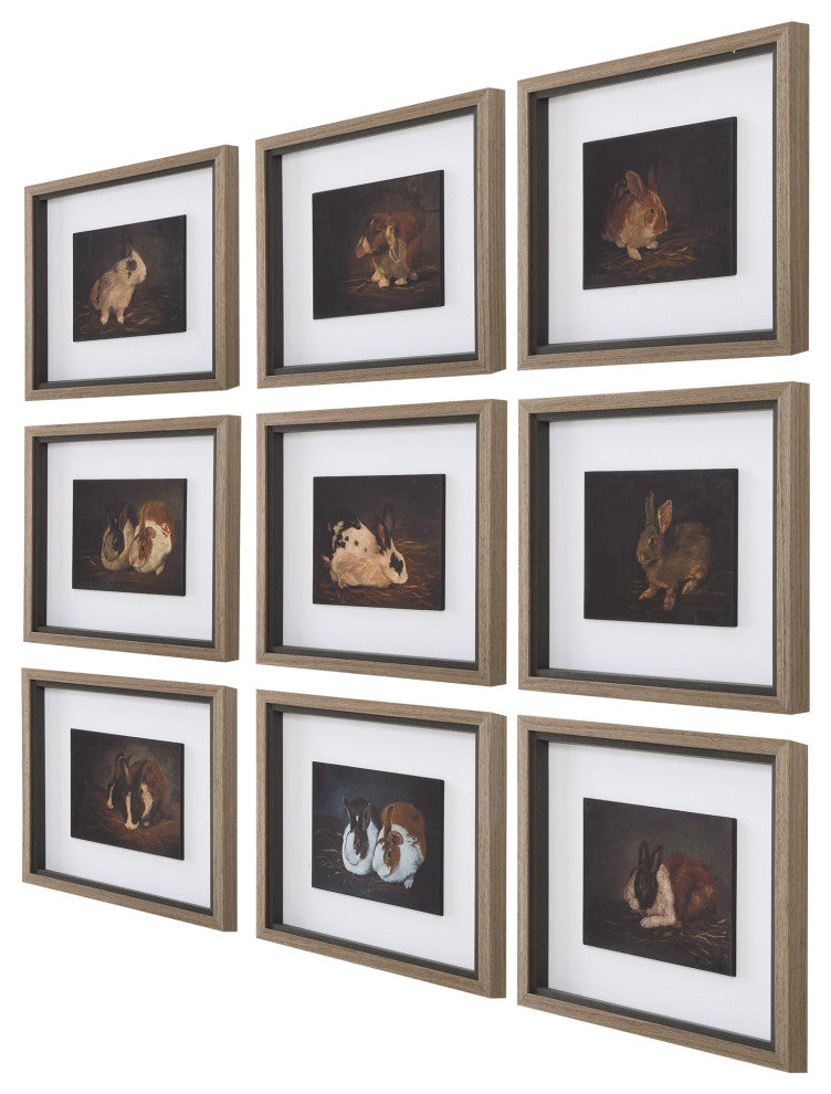 Uttermost Resting Bunny Framed Prints Set of 9