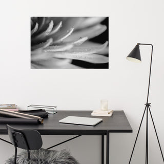 Droplets on Petals Black & White Floral Photo Unframed Wall Art Print, 24" X 36"