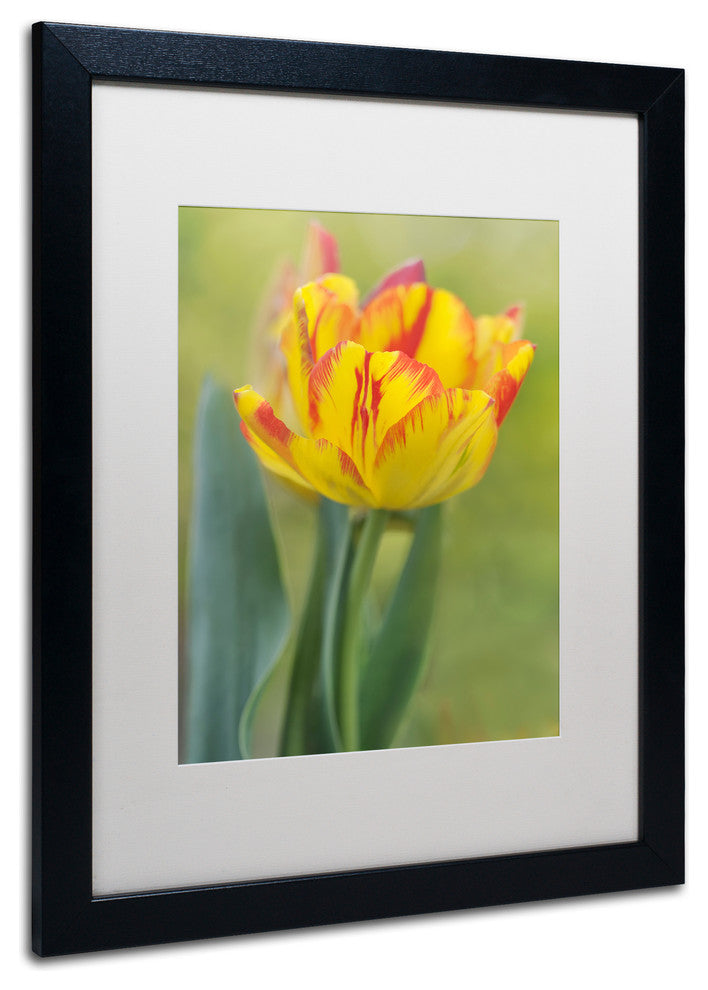 Cora Niele 'Rembrandt Tulip' Matted Framed Art