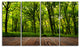 Green Forest with Dense Woods, Landscape Canvas Art Print, 48"x28", 4 Panels
