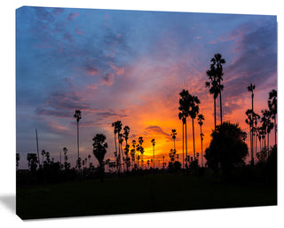 Sugar Palm Tree Silhouette, Landscape Canvas Art Print, 40"x30"