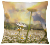 Blooming Chamomiles Flowers Landscape Printed Throw Pillow, 16"x16"