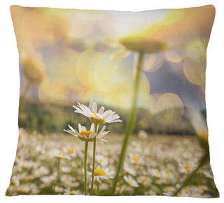 Blooming Chamomiles Flowers Landscape Printed Throw Pillow, 16"x16"