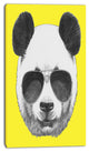 Funny Panda with Sunglasses, Animal Canvas Art Print, 16"x32"