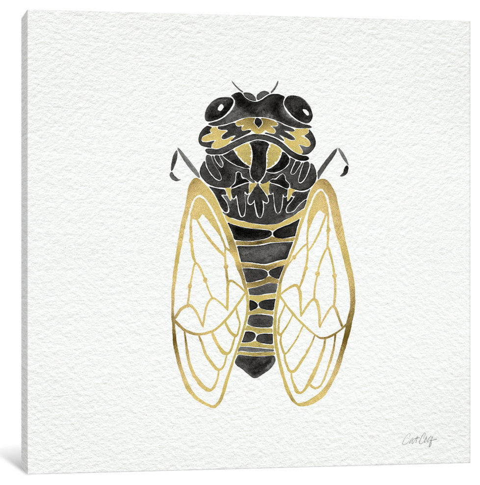 "Cicada Gold Black Artprint" by Cat Coquillette, 18x18x1.5