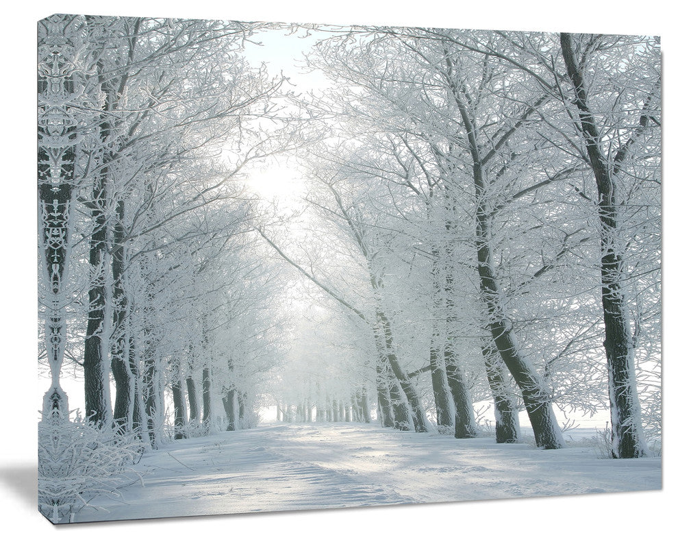 Winter Road Backlit my Morning Sun, Forest Canvas Art Print, 20"x12"