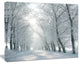 Winter Road Backlit my Morning Sun, Forest Canvas Art Print, 20"x12"
