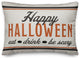 Happy Halloween 14x20 Indoor/Outdoor Pillow