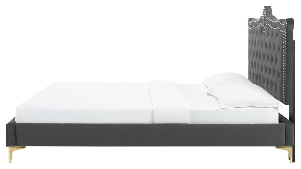 Platform Bed Frame, Nailhead, Queen Size, Charcoal Gray, Velvet, Modern